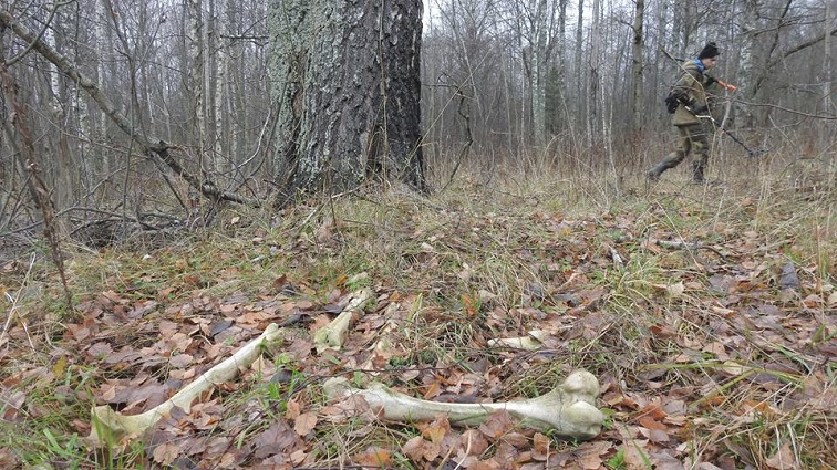 Pogoreloe Gorodishche 2